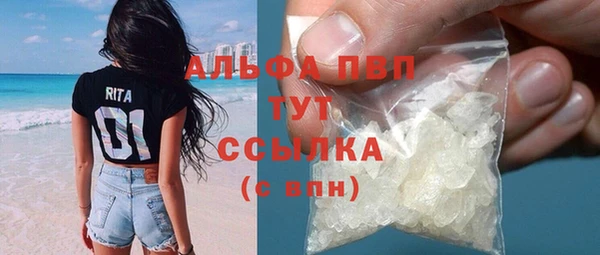 крисы Белокуриха