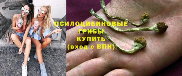 твердый Белоозёрский