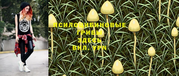 мет Валдай